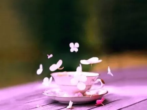 在iSee图片专家中为照片调色详细步骤