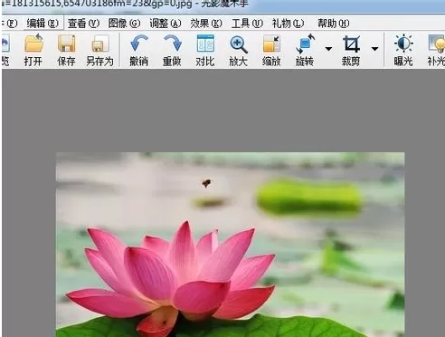 利用光影魔术手中的特效为图片添加柔光的详细步骤