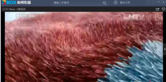 在央视影音中观看体育新闻节目的详细方法