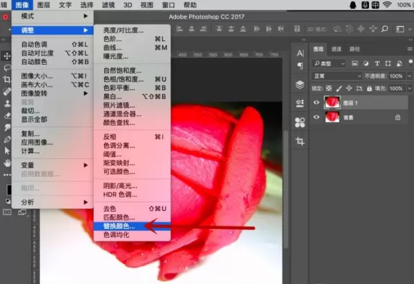 使用Photoshop软件更换图片区域颜色的具体操作