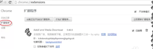 在chrome浏览器中进行安装扩展程序的详细步骤