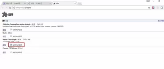使用chrome浏览器将flash插件打开的具体方法