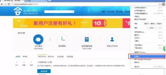 在chrome浏览器中将指定网站指定cookie删掉的详细步骤