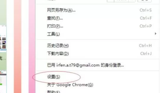 在chrome浏览器中实行查看本地cookie信息的具体步骤
