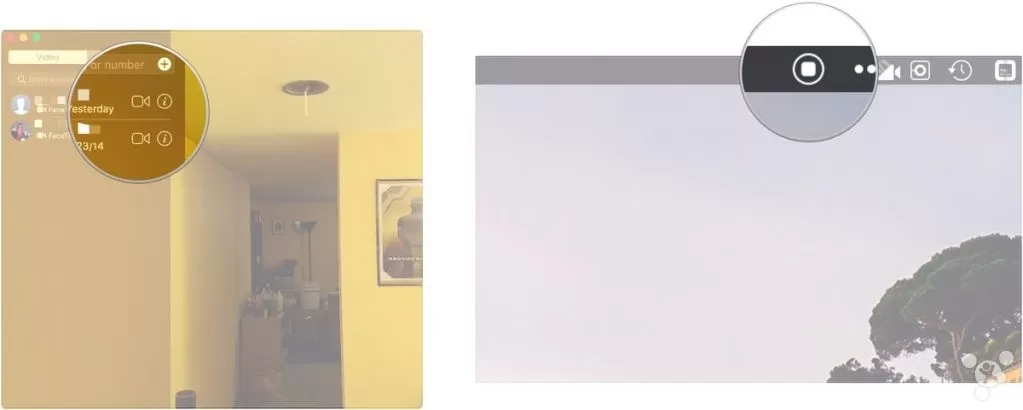 在Mac上录制FaceTime视频通话的具体方法