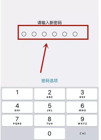 在苹果手机中开启自动接听电话功能的具体方法