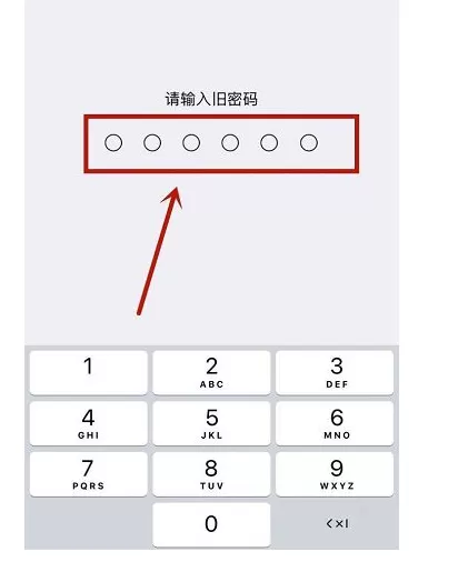 在苹果手机中开启自动接听电话功能的具体方法