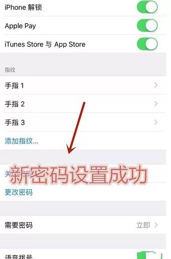 在苹果IOS11系统中更改手机密码的具体方法