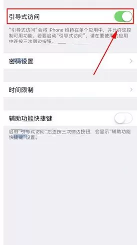 在苹果iPhone X中打开引导式访问功能的详文解析