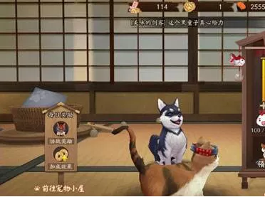 在阴阳师手游中玩转宠物后院攻略
