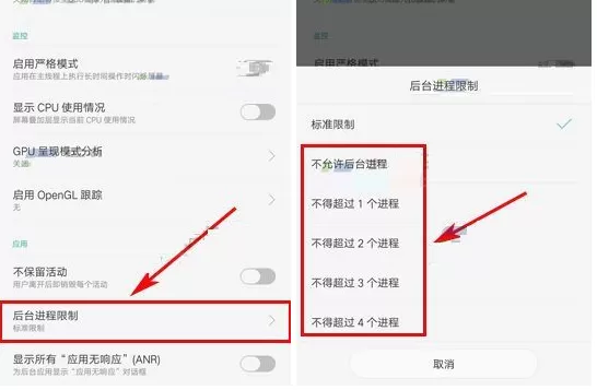 在OPPO R11s中限制后台进程数量的具体方法