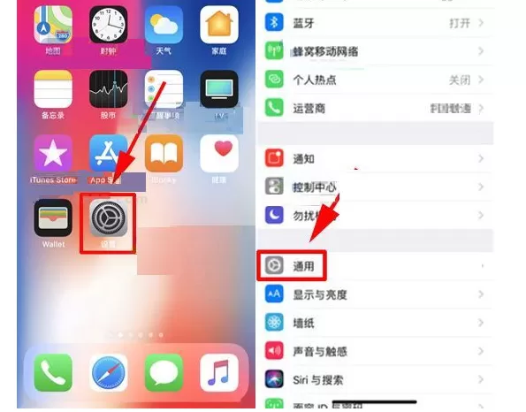在iPhone X中开启电话噪音消除功能的具体方法