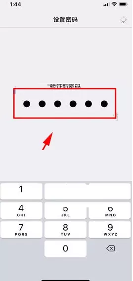 在iPhone X中设置面容ID解锁的图文教程