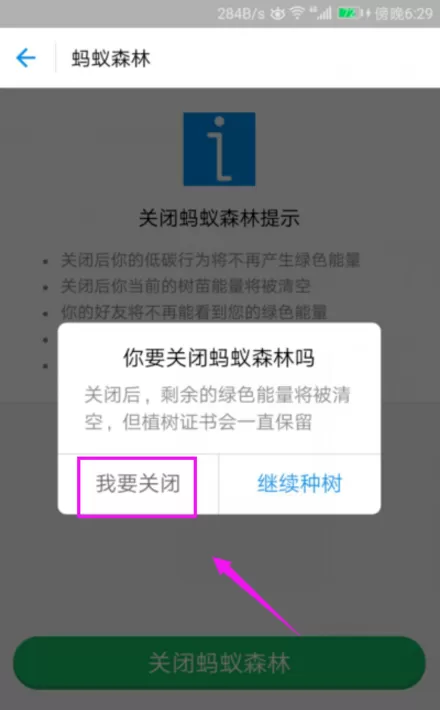 在支付宝中关闭蚂蚁森林的具体操作