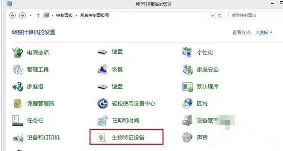 在Win10系统中开启生物识别功能的详细步骤