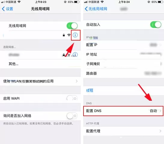 苹果iPhone8Plus中怎样进行DNS地址更改?