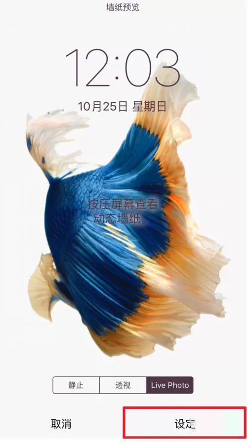 在iPhone7中设置Live动态壁纸的具体步骤
