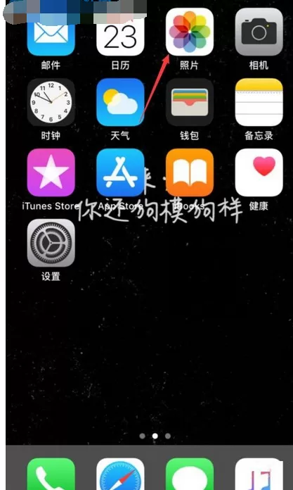 在苹果手机中查看照片拍摄地点的具体步骤
