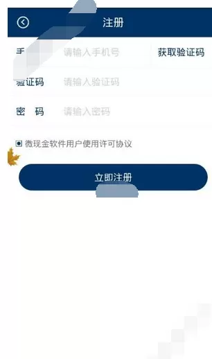 在微现金中借款的具体方法介绍