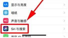 在iPhone X中关闭Siri搜索建议的具体操作