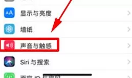 在iPhone X中关闭静音模式振动的具体操作