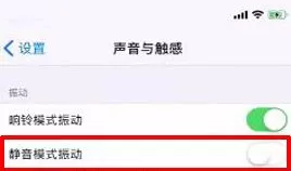 在iPhone X中关闭静音模式振动的具体操作