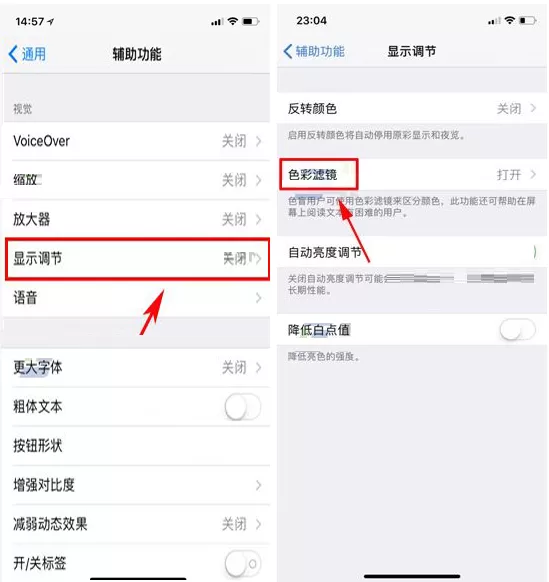 在iPhone X中设置色彩滤镜的具体操作