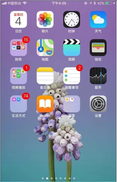 在苹果手机APP中进行授信的方法