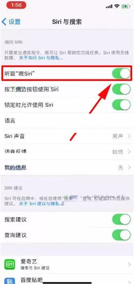 在iPhone X中设置语音唤醒Siri的具体步骤