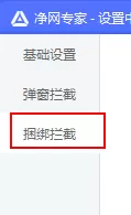 在净网专家中自定义设置拦截策略的具体步骤