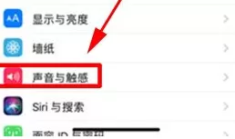 在iPhone X中关闭按键声音的具体操作
