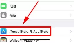 在iPhone X中关闭Apple Store密码的具体操作
