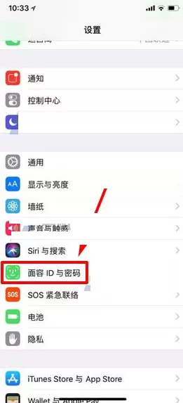 在iPhone X中开启语音拨号的具体操作