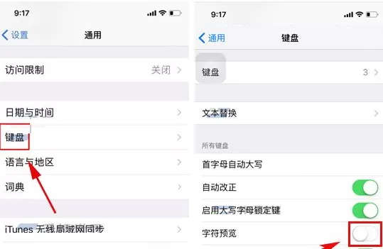 在iPhone X中关闭键盘字符预览的详细方法