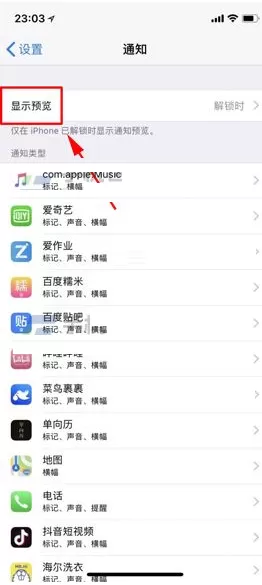 在iPhone X中隐藏锁屏通知预览的具体操作