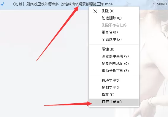 使用维棠FLV下载网页视频的具体方法介绍
