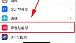 在iPhone X中创建新振动模式的具体操作