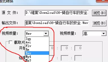 维棠flv视频下载软件转换视频格式的具体步骤