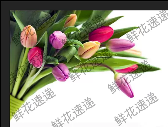 使用PS清除图片上连续水印的图文教程