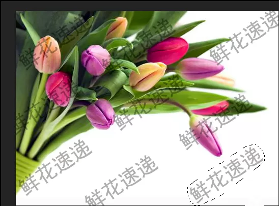 使用PS清除图片上连续水印的图文教程