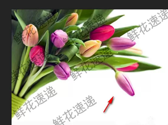 使用PS清除图片上连续水印的图文教程