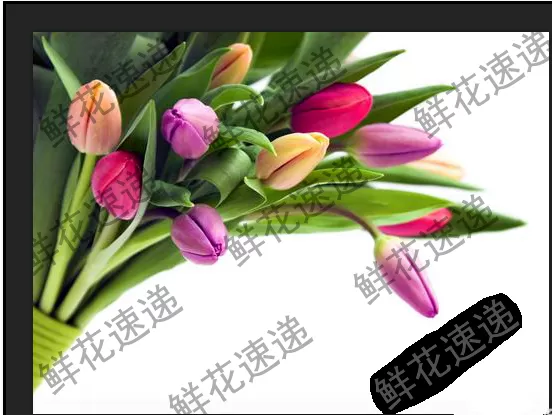 使用PS清除图片上连续水印的图文教程
