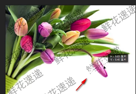 使用PS清除图片上连续水印的图文教程