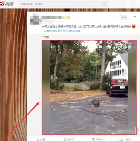 在谷歌浏览器中下载网页视频的具体方法