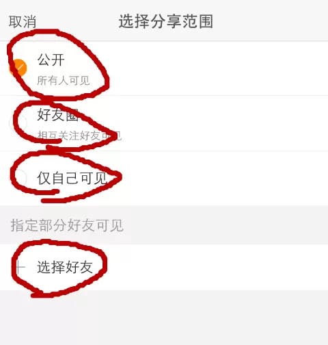 在微博中设置不让他人看到博文消息的具体方法
