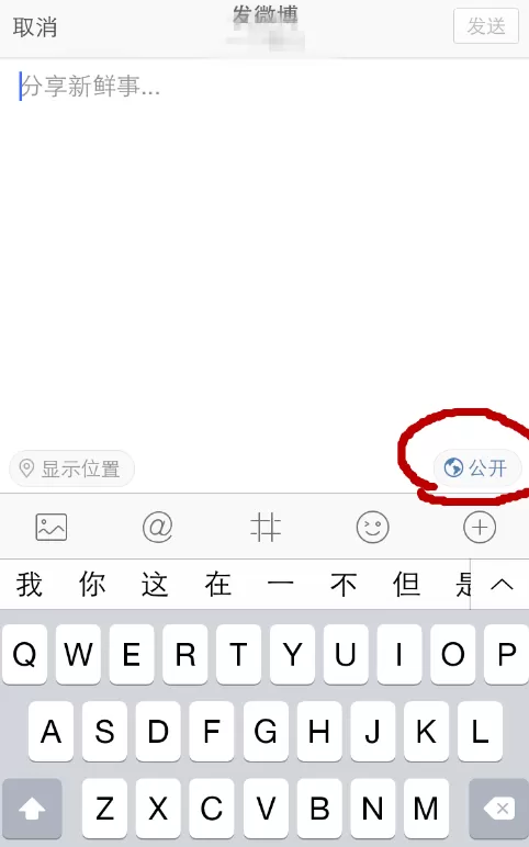 在微博中设置不让他人看到博文消息的具体方法
