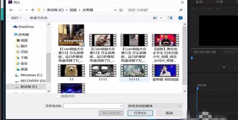 在Premiere中添加单个轨道的具体操作