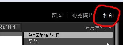 在lightroom中制作漂亮拼接模卡的具体操作