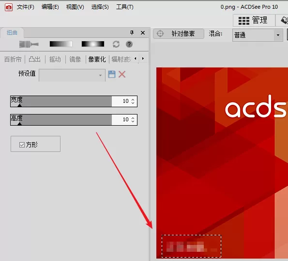 使用ACDSee在图片上加马赛克的具体方法
