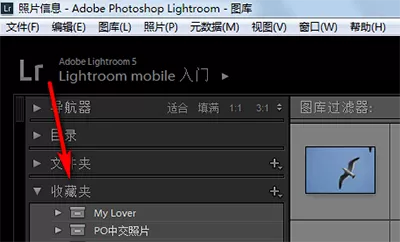 在lightroom中建立收藏夹集及收藏夹的具体操作